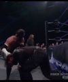 TNA11-24_2913.jpg