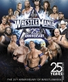 2009_WrestleMania_25_keyart--20f0302eb59bed53e2ff215e7a6cb042.jpg