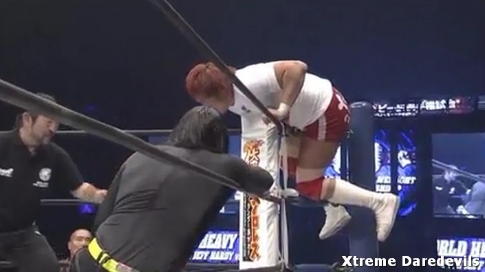 NJPW141128.jpg