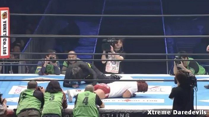 NJPW141185.jpg