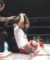 NJPW141136.jpg