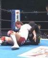 NJPW141156.jpg