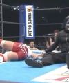 NJPW141159.jpg