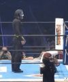 NJPW141161.jpg