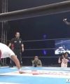 NJPW141179.jpg