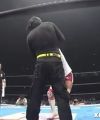 NJPW14119.jpg