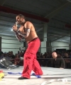 PWX_307.jpg